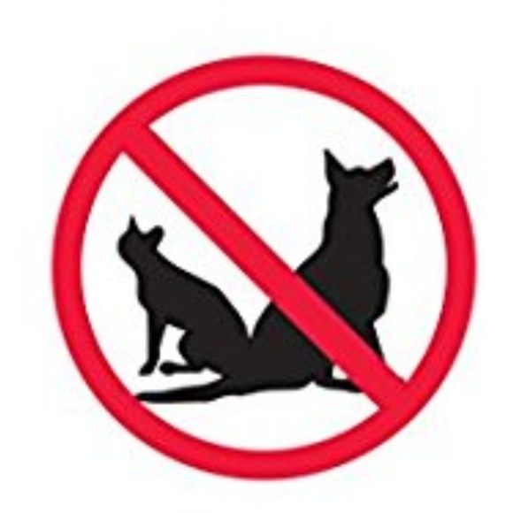 Meet your Posher, Jessica - Picture 3 of 5